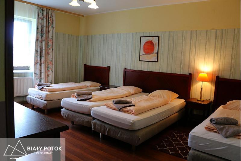 Bialy Potok Bed & Breakfast Zieleniec  Ngoại thất bức ảnh